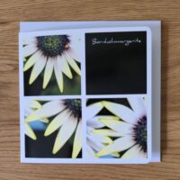 Doppelkarte Collage Bornholmmargerite Quadratisch
