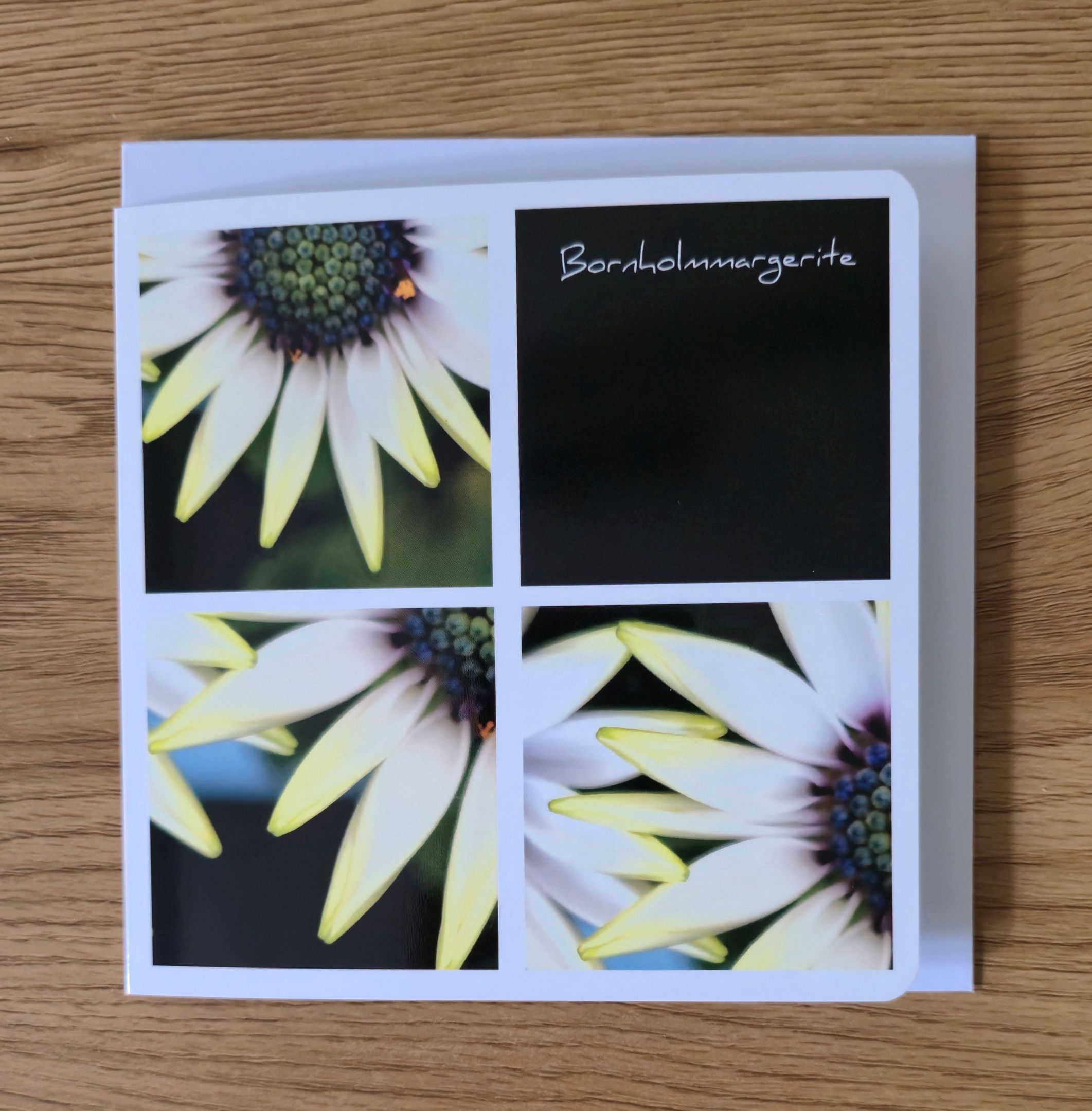 Doppelkarte Collage Bornholmmargerite Quadratisch