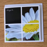 Doppelkarte Collage Margerite Quadratisch