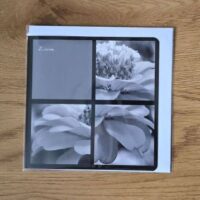 Doppelkarte Collage Zinnie Quadratisch sw