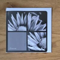 Doppelkarte Collage Gazanie Quadratisch sw