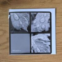 Doppelkarte Collage Weissdorn Quadratisch sw