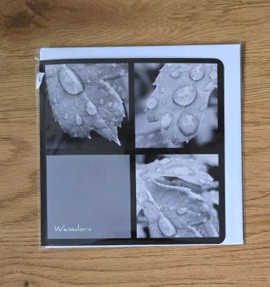Doppelkarte Collage Weissdorn Quadratisch sw