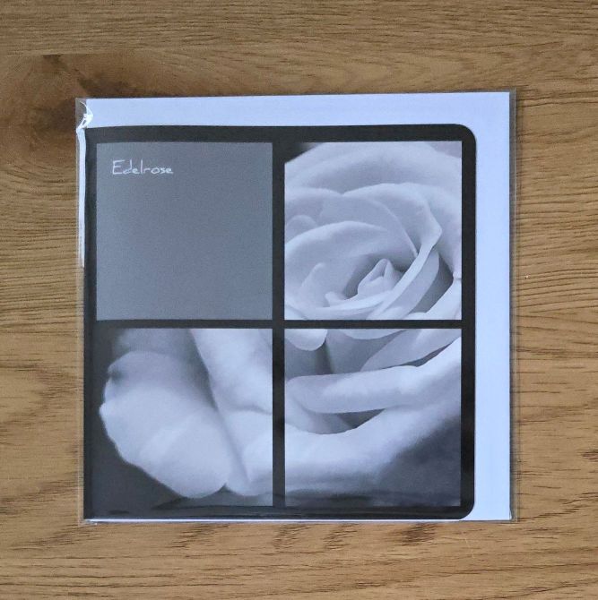 Doppelkarte Collage Edelrose Quadratisch sw