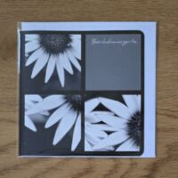 Doppelkarte Collage Bornholmmargerite Quadratisch sw